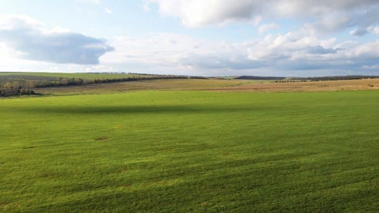 aerial drone view nature moldova sown fields trees distance cloudy sky 1