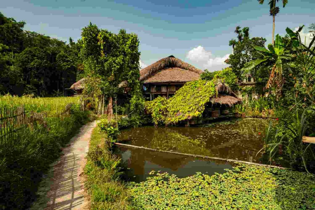 Real Estate Investing in Eco-Villages: A Sustainable Community Approach