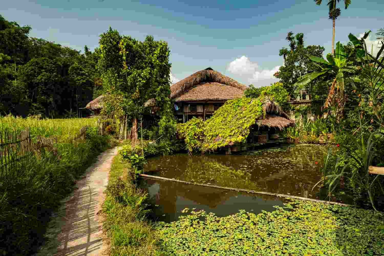 Real Estate Investing in Eco-Villages: A Sustainable Community Approach