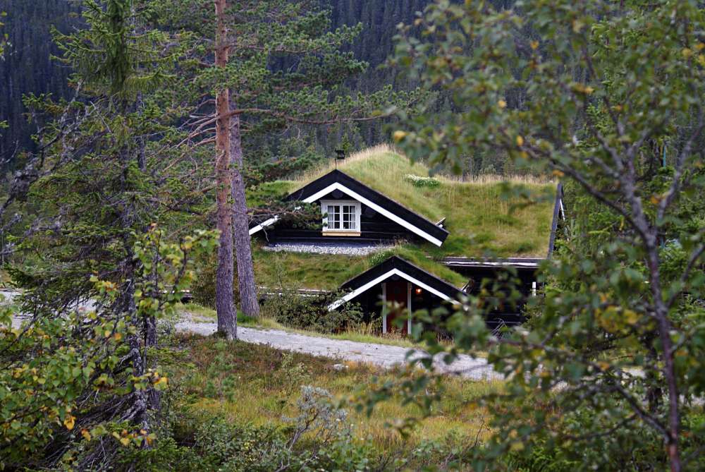 Tiny House Trend: Why America is Embracing Smaller Spaces