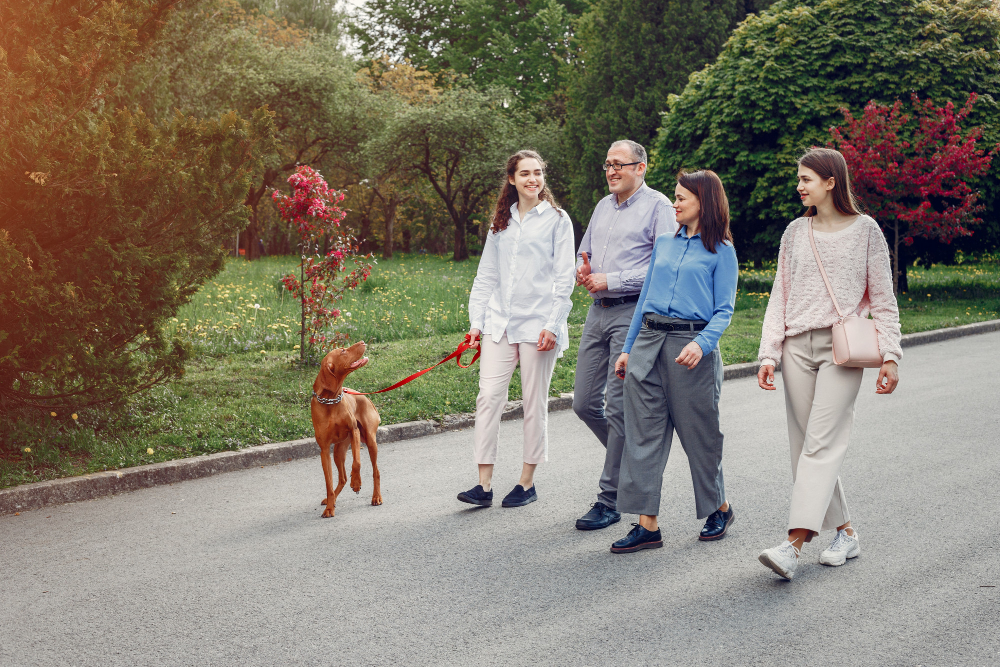 Unlock Happiness: How Living in a Walkable Neighborhood Can Transform Your Life!